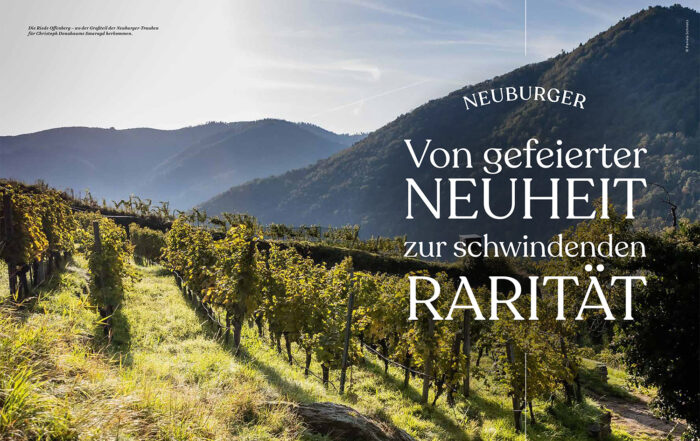 Vinaria - Die besten Neuburger Österreichs